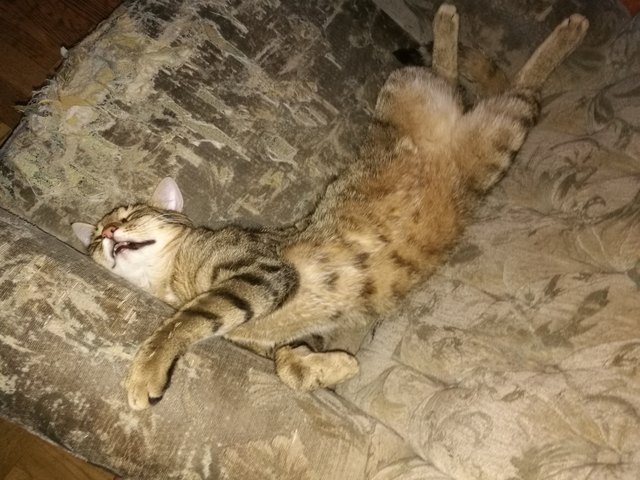 Moritz muss schlafen