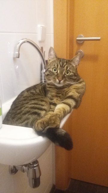 Daisy würde sich sehr freuen!