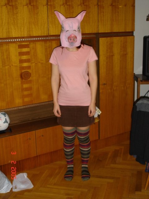 Schwein
