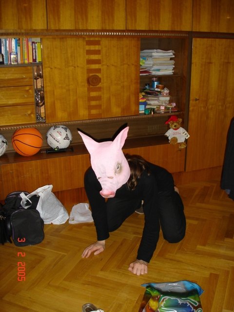 Schwein