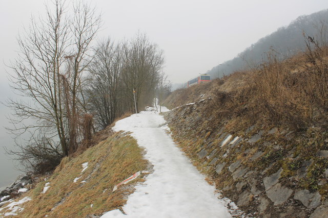 Der 3,5 Meter breite Radweg wird auf Stützen über dem jetzigen Treppelweg zwischen Puchenau und Alt-Urfahr geführt.