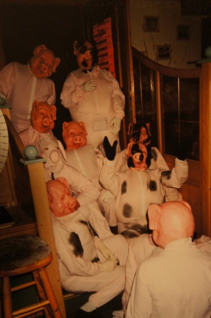 Schwein