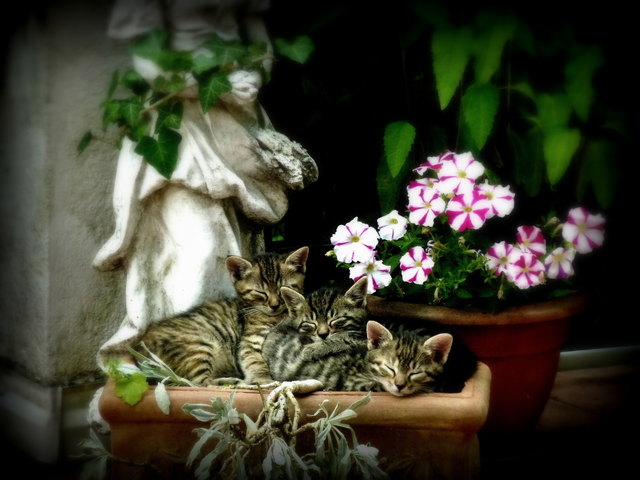 Der Schein trügt.....:-)
