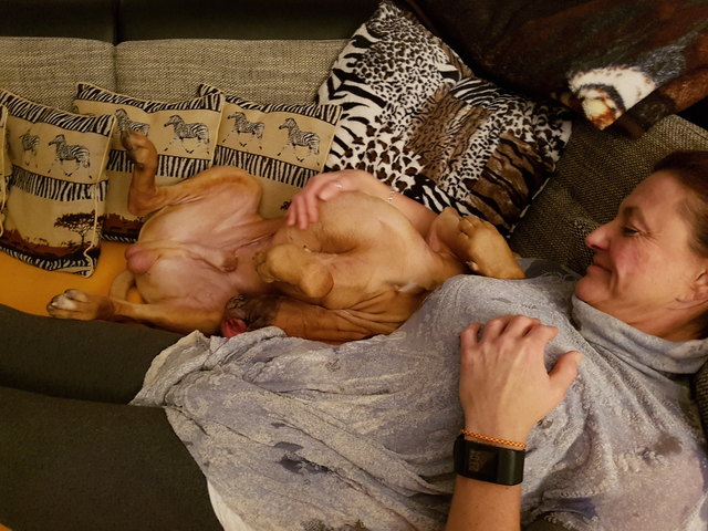 zufrieden auf dem Sofa