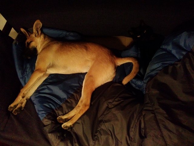 Elli und Negrita