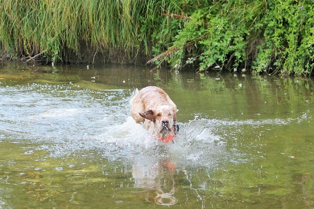 Aiden die Wasserratte ;)