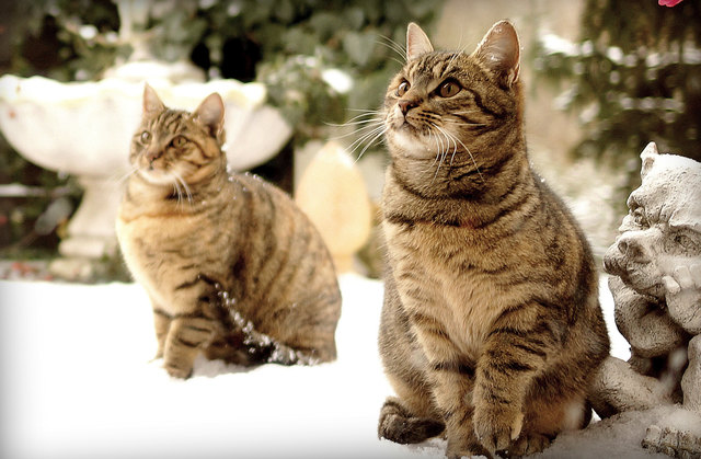 Two of us....