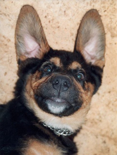 My Sweetheart Aiko