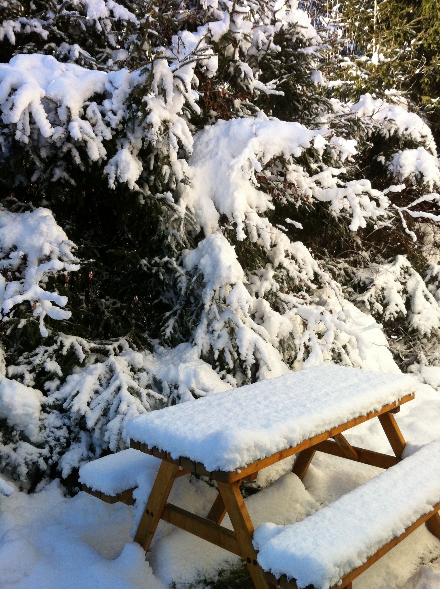 Du Liebe Zeit Es Schneit Es Schneit Die Flocken Fliegen Und