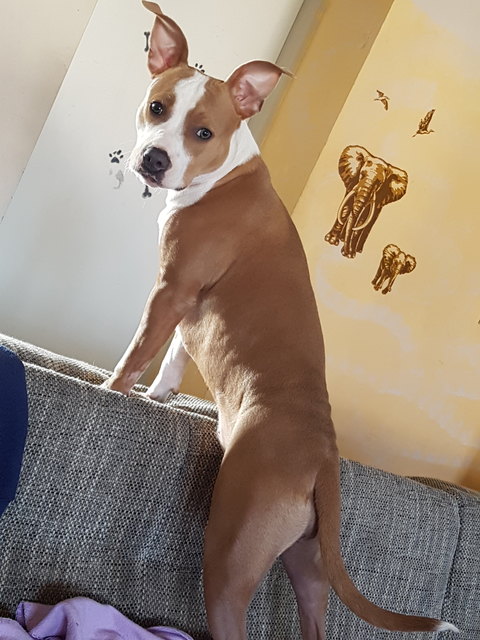 Meine Kleine süße Xenia
