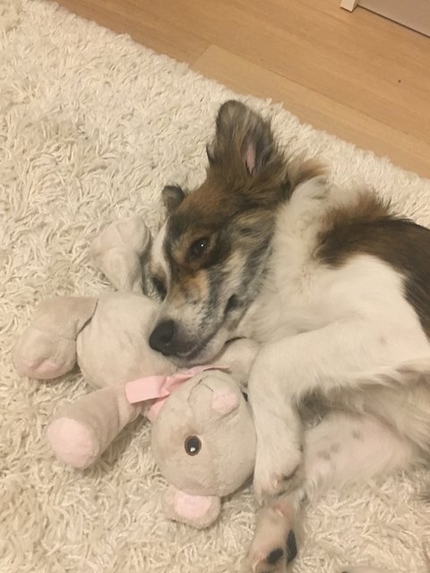 Liebesbedürftig
