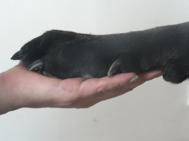 Hand in Hand