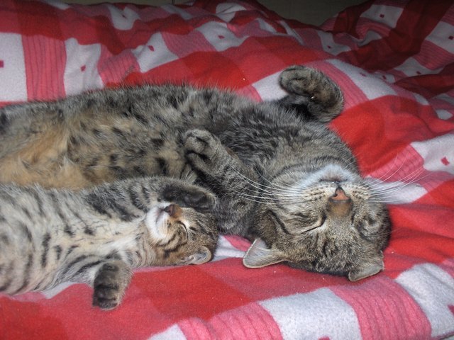 Mittagsschläfchen