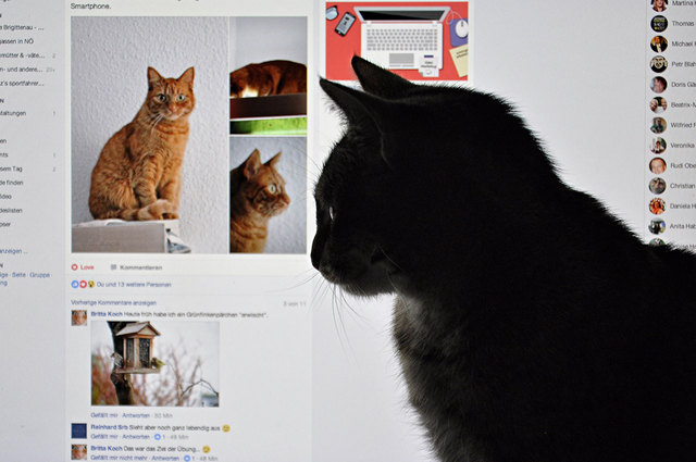 Mal schauen, was heute auf Face Book so los ist...