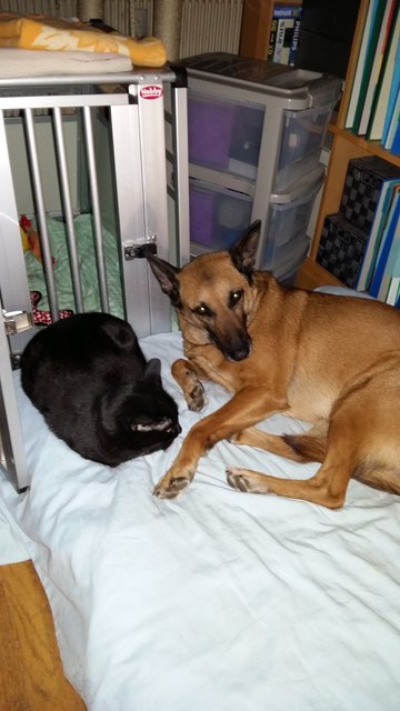 Marika mit Katze Baghira