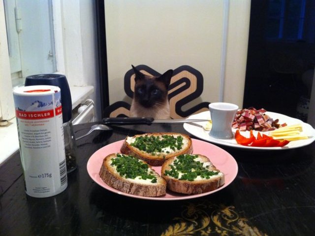 IndirasFrühstück