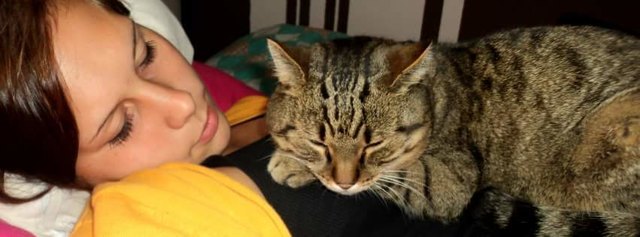 Mein Kater Max