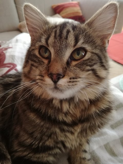 Fräulein Watson beim entspannen :)