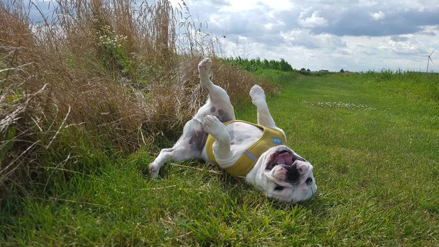 Cooper in seinem Element. Er würde sich über ein Greenheart Paket freuen