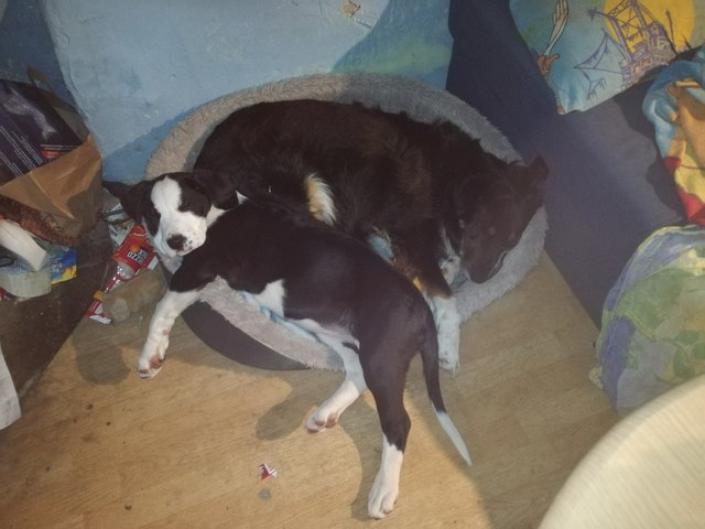Kuscheln
