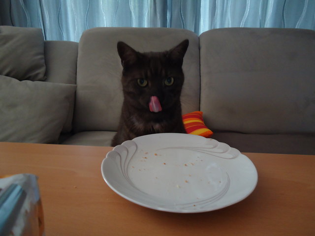Mhhhh - das war lecker!!!