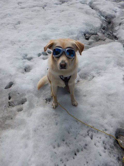 cooler Durchblick - Stenly trägt Brille 8-)