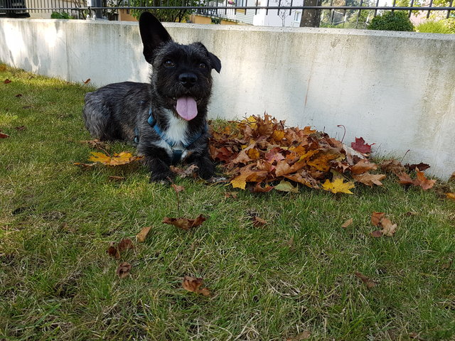 Lola :)