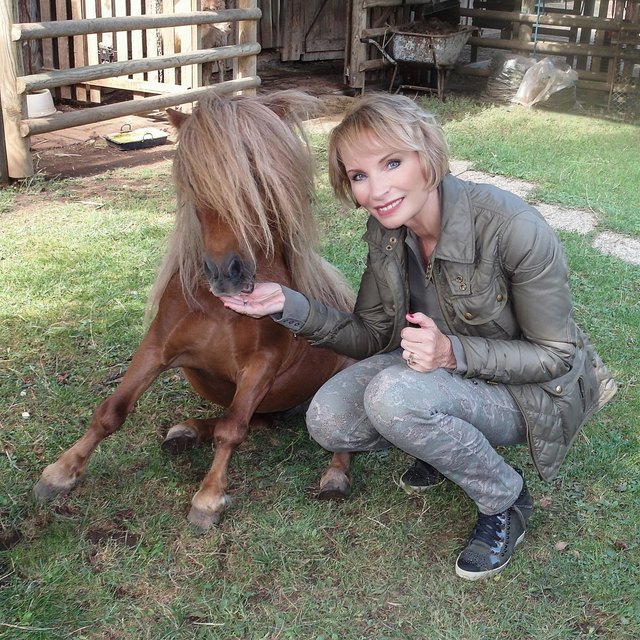 Minipferdchen mit Frauchen