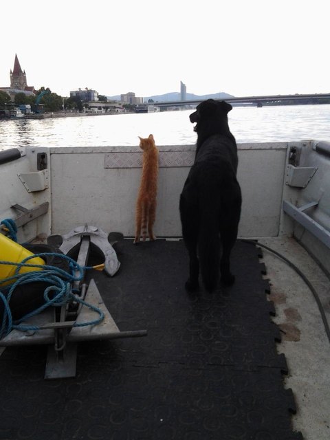 ...Land in Sicht !