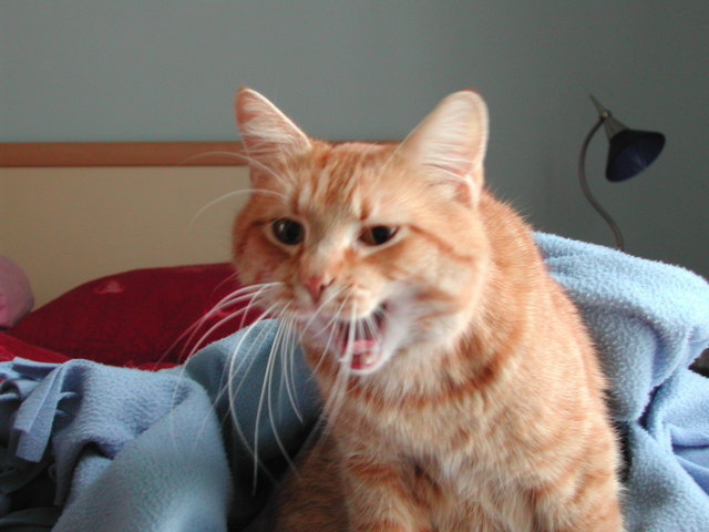 Und schon wieder Montag Morgen