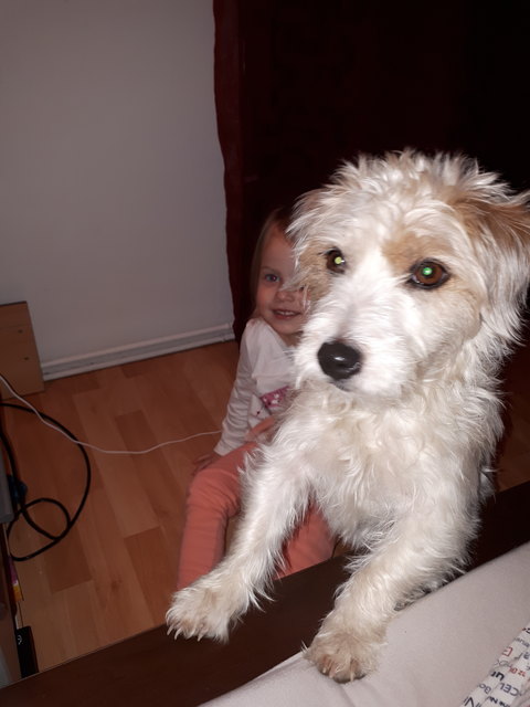 Amy sie ist der süßerste Hund und liebevollste Freund den man haben kann. Die Kinder und wir Lieben sie überalles.