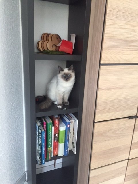 Von Simone Waldner (per E-Mail am Gewinnspiel teilgenommen)