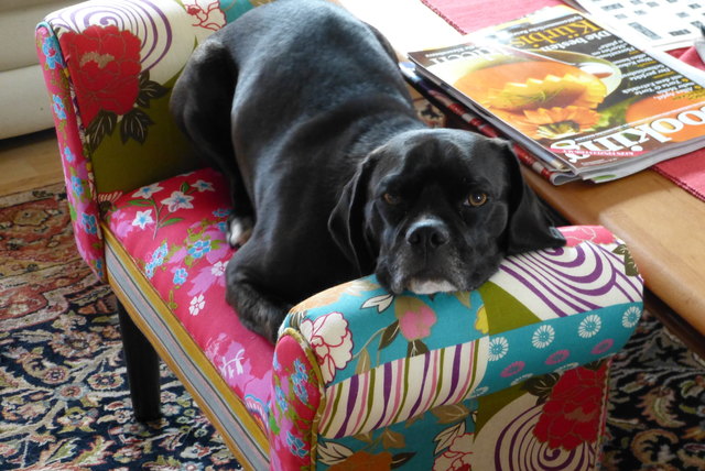 Mein eigenes Sofa