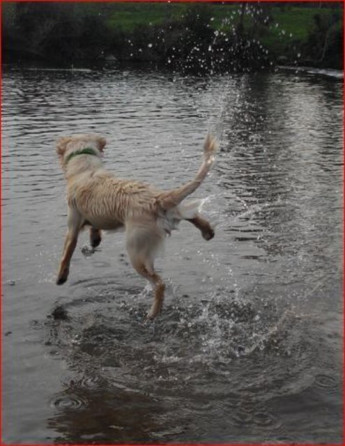 Zoe, die übers Wasser ging :-)