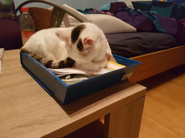 Von Alex Hauss (per E-Mail am Gewinnspiel teilgenommen)