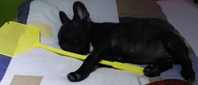 Unser Baby
