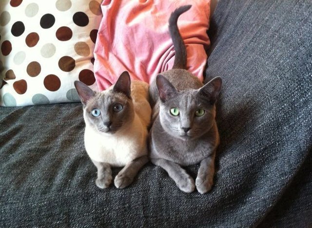 Luna und Gino bringen sich in Pose, und können den Schnappschuss kaum abwarten