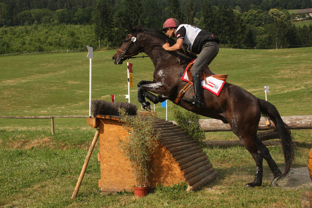 Harald Siegl auf Luis W | Foto: Sportfoto Liebmann