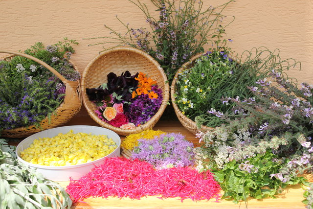 Geschenke der Natur