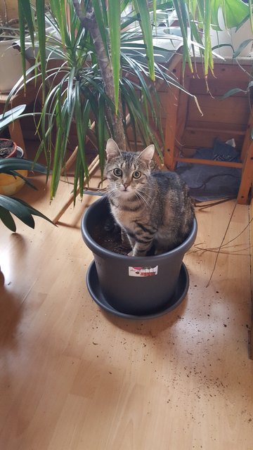 Von Cassandra Ostrau aus Mödling (per E-Mail am Gewinnspiel teilgenommen)