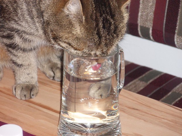 Durst