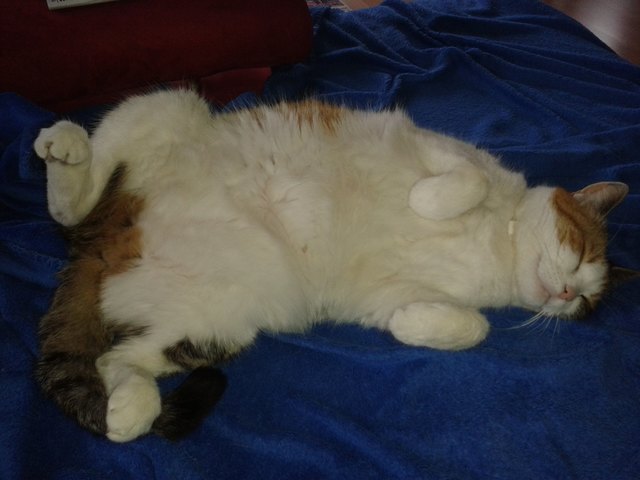 Lucky nicht ladylike...