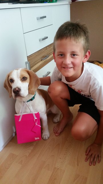 Lucky mit seinem besten freund Robin
