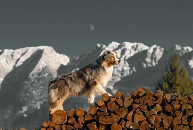 Pacco will hoch hinauf