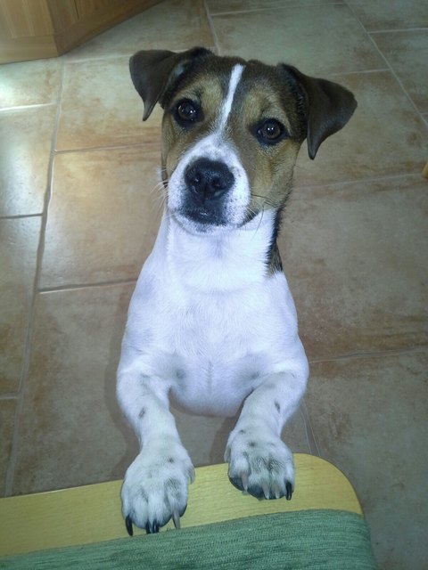 Unser Felix