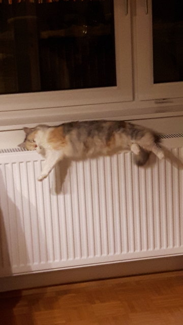 Relaxen