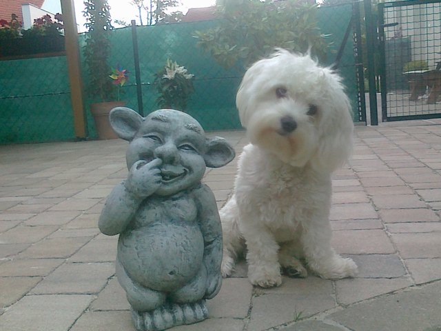 Michi mit Freund Gnomi