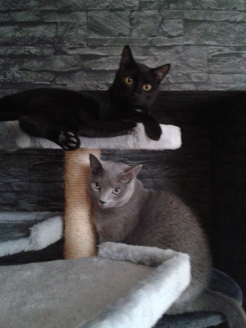 Cindy & Murli