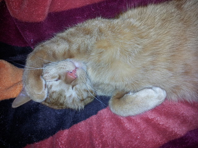 Gerry im Chillmodus