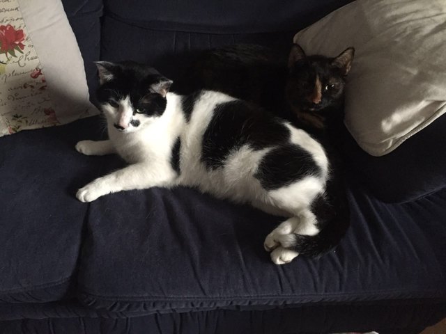 Felix und seine Freundin Sara